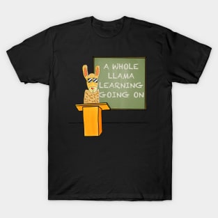 A Whole Llama Learning Going On Back To School Teacher Llama T-Shirt